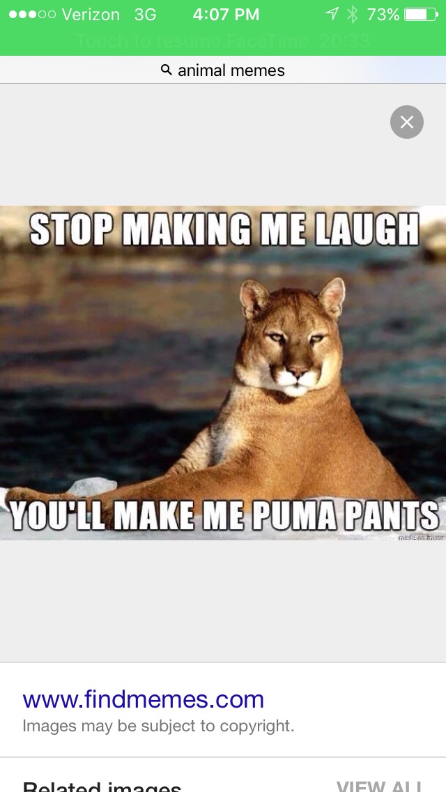 puma my pants