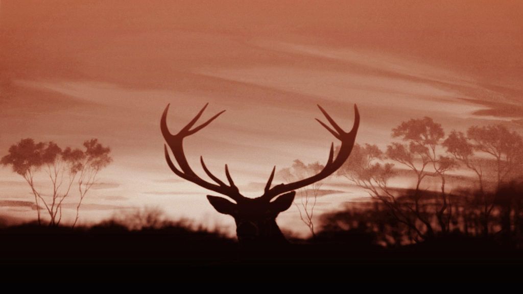 deer silhouette