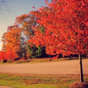 picture Dslr Nature Dslr Hd Background For Picsart dslr similar hashtags picsart
