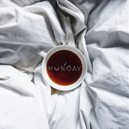 monday minimalism photography tea cup